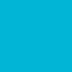 Ant Smart Adhesive Permanent Vinyl Compatible with Cricut Explore and Maker Series Without Cutting Mats, Create DIY Projects, Decals, Stickers & More (Light Blue, 13inchx10ft)