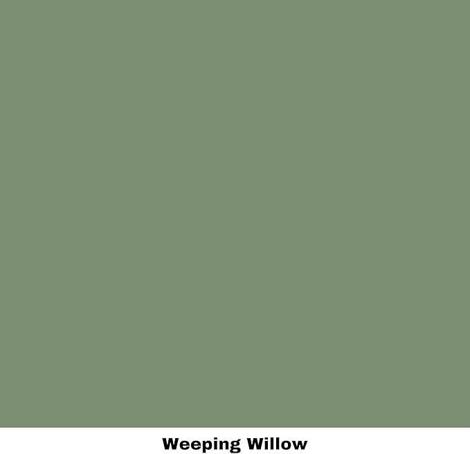 Dixie Belle Paint Company Chalk Finish Furniture Paint - Weeping Willow (4oz) - Matte Soft Green Chic Chalk Mineral DIY Furniture Paint