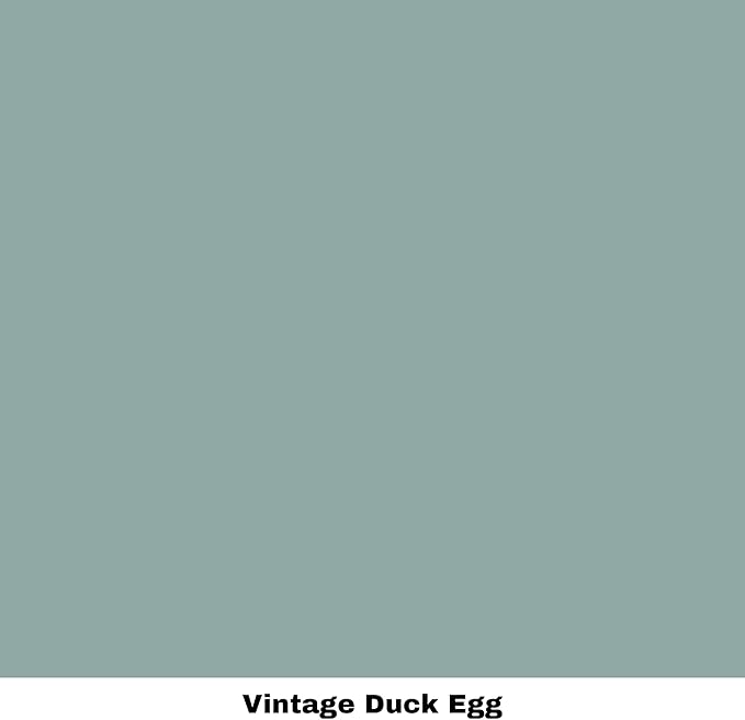 Dixie Belle Paint Company Chalk Finish Furniture Paint - Vintage Duck Egg (4oz) - Matte Light Blue Chic Chalk Mineral DIY Furniture Paint