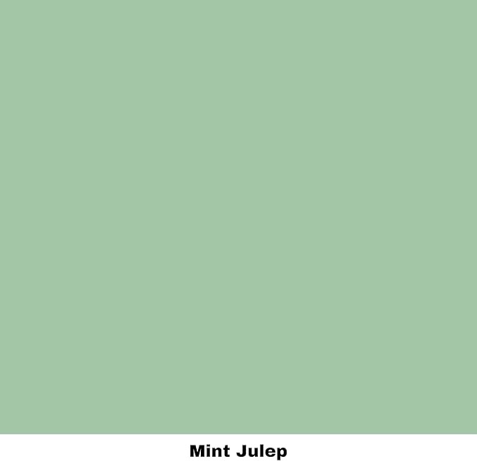 Dixie Belle Paint Company Chalk Finish Furniture Paint - Mint Julep (4oz) - Matte Mint Green Chic Chalk Mineral DIY Furniture Paint