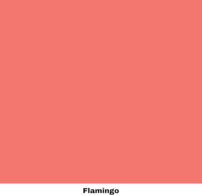 Dixie Belle Paint Company Chalk Finish Furniture Paint - Flamingo (32oz) - Matte Bright Coral Chic Chalk Mineral DIY Furniture Paint