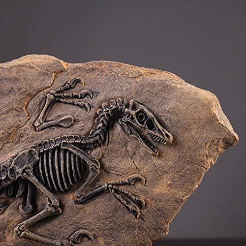 XINDAM Resin Dinosaur Fossil Statue Model Simulated Skeleton Home Office Display Decorative Craft Box Decoration (Style 2)