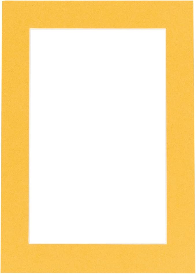 Pack of Ten Acid Free 11x14 Mats Bevel Cut for 8.5x11 Photos - Topaz Orange Precut Matboards With Backing Boards and Self Seal Photo Mat Bags For Pictures, Photos, Framing - 4-ply Thickness