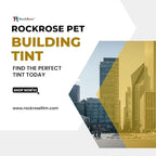 Rockrose Professional Blackout Home Window Tint Film - Sun Blocking Privacy Cover for Home Offices - Room Darkening Sun Light Blocker - 24 in x 15FT - Total Blackout