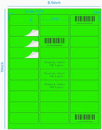 STARLIBOO 1" x 2-5/8" Address Labels- Neon Color Fluorescent Stickers for Laser/Inkjet Printer mailing Labels 8.5"×11"- Fluorescent Green