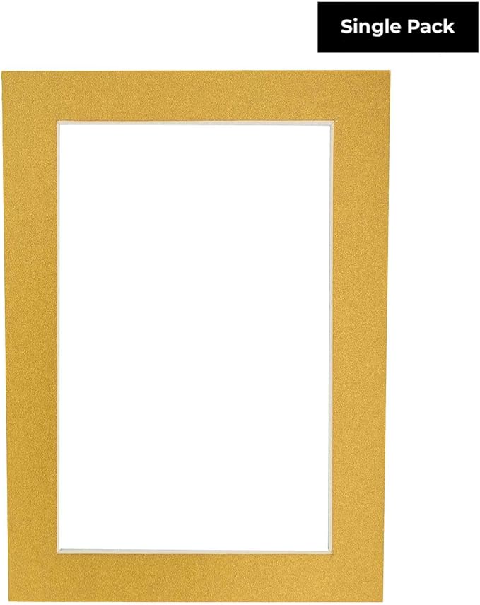 8x10 Mat Bevel Cut for 5x8 Photos - Acid Free Metallic Gold Precut Matboard With Backing Board and Crystal Clear, Self Seal Photo Mat Bag - For Pictures, Photos, Framing - 4-ply Thickness