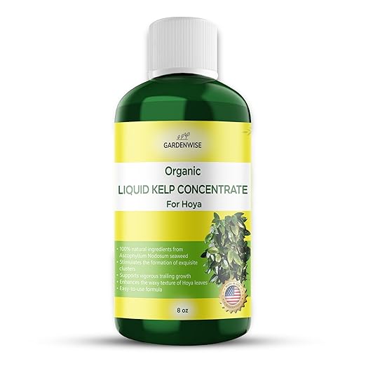 Organic Premium Kelp Seaweed Concentrate for Hoya - Liquid Fertilizer - Liquid Plant Food - Nutrient-Rich Soil Enhancer - Natural Plant Food for Hoya Plant (8 OZ), OLKC-15
