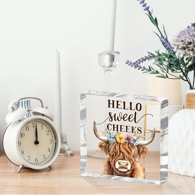 Funny Cow Decorative Signs, Rustic Western Animal with Wreath Office Desk Decor Acrylic Sign 4x4 Inch, Desk Accessories Signs for Bathroom Cubicle Farmhouse Kitchen, Cow Gifts