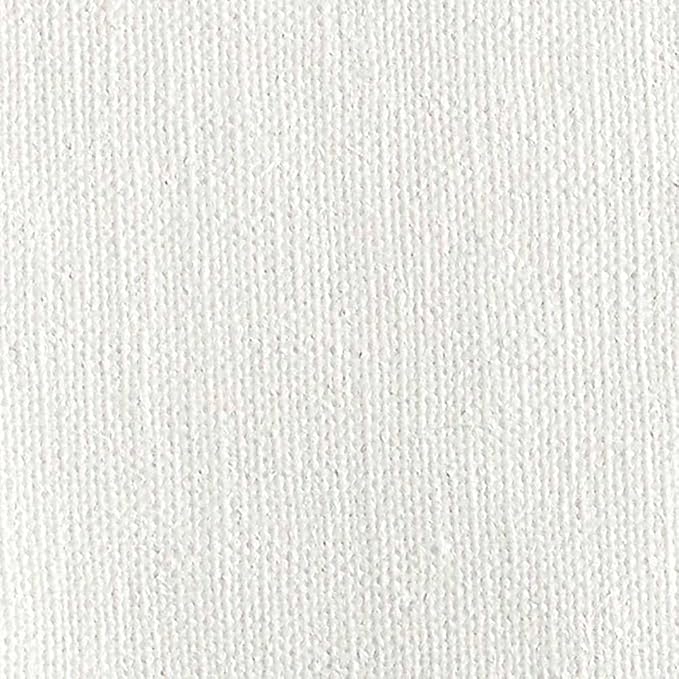Centurion Deluxe Professional Oil Primed Linen Stretched Canvas - Enhanced Oil Priming for Superb Performance & Color Retention - [12 Pack - 4x6"]