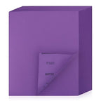 Sandpaper 320 Grit 20 PCS, Wet Dry Sanding Sheets 9 x 11 Inch, Purple Alumina Abrasive Sand Paper for Wood, Metal, Drywall, Resin, Automotive Sanding, Polishing, Grinding, by POLIWELL