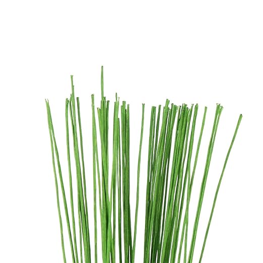 Decora 24 Gauge Green Floral Wire Green Paper-Wrapped Floral Stem Wires for Crafts 16 inch,50/Package