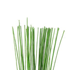 Decora 24 Gauge Green Floral Wire Green Paper-Wrapped Floral Stem Wires for Crafts 16 inch,50/Package