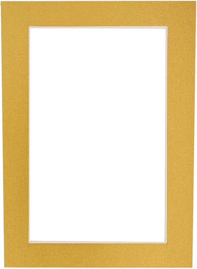 8x10 Mat Bevel Cut for 5x8 Photos - Acid Free Metallic Gold Precut Matboard With Backing Board and Crystal Clear, Self Seal Photo Mat Bag - For Pictures, Photos, Framing - 4-ply Thickness