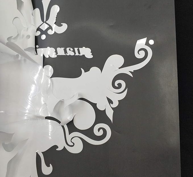 Guangyintong Heat Transfer Vinyl HTV Rolls, 12" x 12ft White Iron-on for T-Shirts, Matte Surface HTV for All Cutter Machines, Easy to Cut & Weed for DIY Design