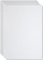 PATIKIL 2mm(1/10") Thick Non Adhesive Glitter Foam Sheet 16x24inch(40x60cm) White, EVA Shiny Foam Board for Craft, 6 Pcs