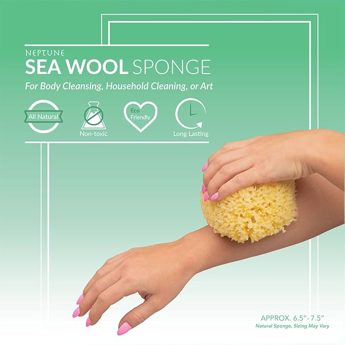 Sea Wool Sponge - All Natural Honeycomb Renewable Sea Sponge, Hand Cut, Jumbo, Approx. 7 Inches