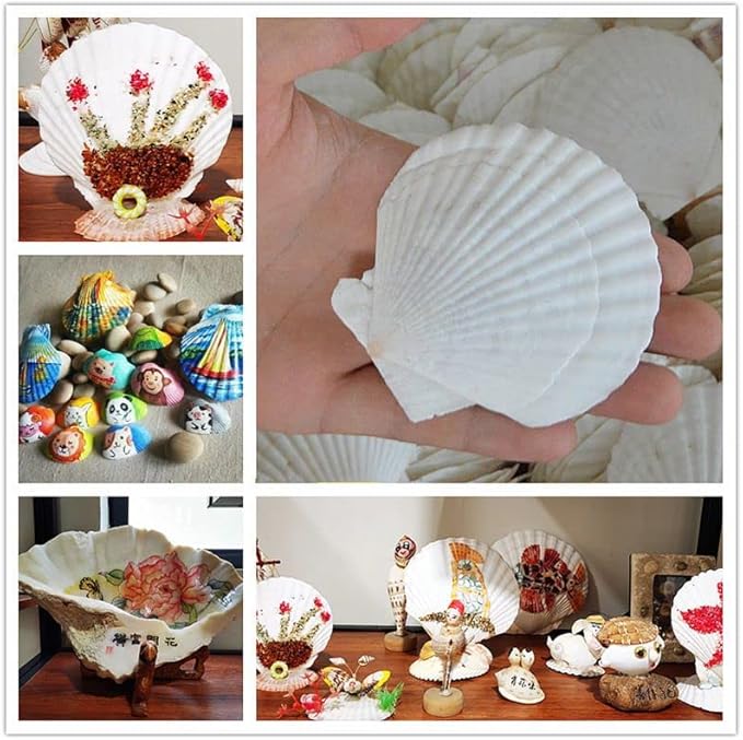 15 Pcs Sea Shells (3.1-3.5inch) White Large Scallop Shells for Baking Cooking, Big Natural Clam Seashells for DIY Crafts Seashell Beach Decorating for Home Decor
