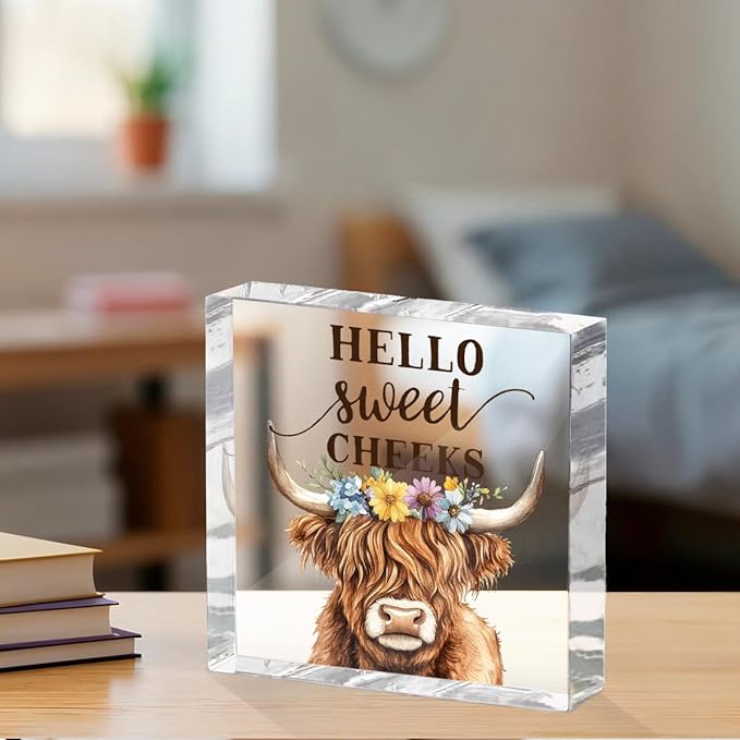 Funny Cow Decorative Signs, Rustic Western Animal with Wreath Office Desk Decor Acrylic Sign 4x4 Inch, Desk Accessories Signs for Bathroom Cubicle Farmhouse Kitchen, Cow Gifts