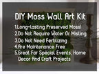Preserved Reindeer Moss Natural Green DIY Kit Gardenning Art Wall Decor Florist Decor Easter Table Decor Wedding