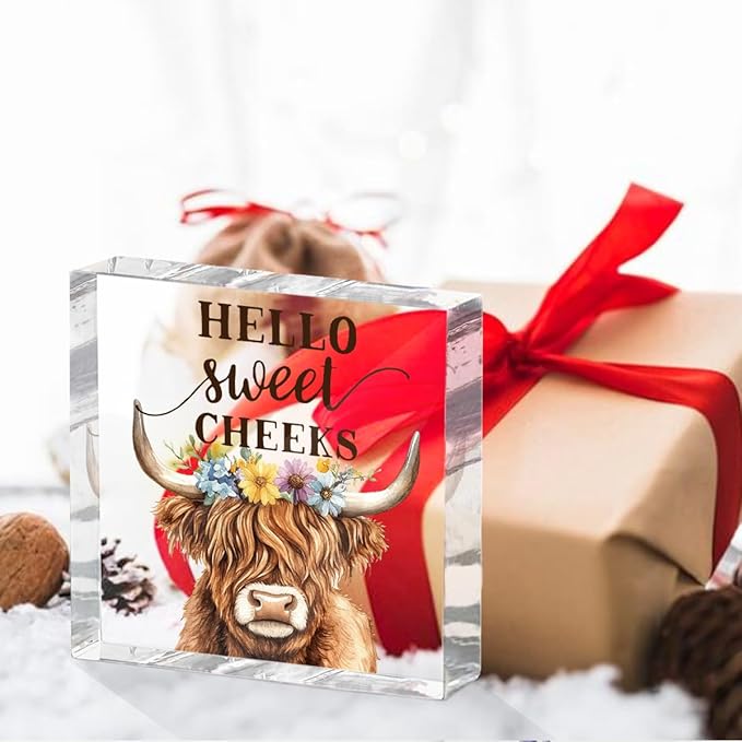 Funny Cow Decorative Signs, Rustic Western Animal with Wreath Office Desk Decor Acrylic Sign 4x4 Inch, Desk Accessories Signs for Bathroom Cubicle Farmhouse Kitchen, Cow Gifts