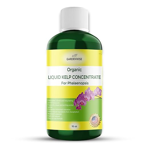 Organic Premium Kelp Seaweed Concentrate: Fertilizer for Phalaenopsis Orchids – Liquid Plant Fertilizer – Orchid Bloom Booster – Seaweed Extract for Plants (16 OZ)