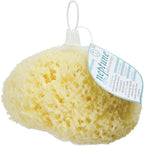 Sea Wool Sponge - All Natural Honeycomb Renewable Sea Sponge, Hand Cut, Jumbo, Approx. 7 Inches