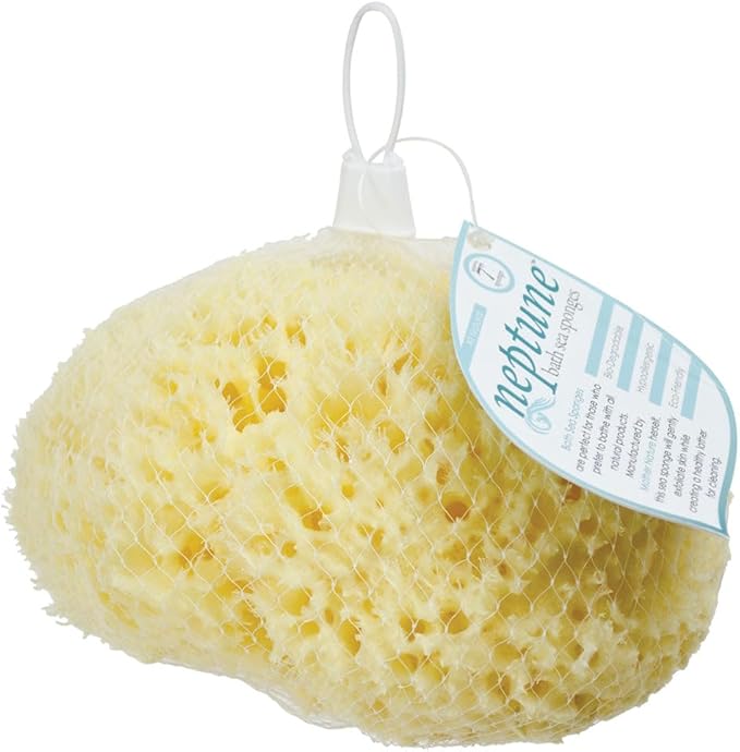 Sea Wool Sponge - All Natural Honeycomb Renewable Sea Sponge, Hand Cut, Jumbo, Approx. 7 Inches