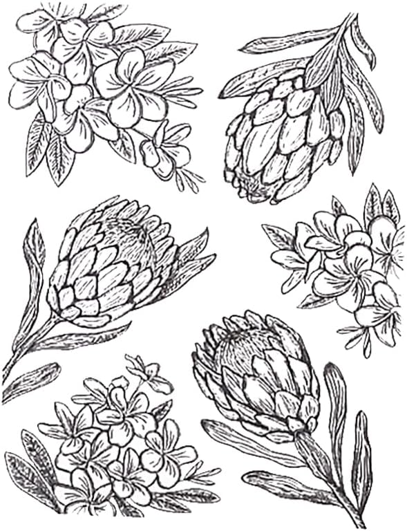 2025-2026 Stamps and Dies for Card Making, Stamps and Dies Set 2025 for Christmas and Halloween, Die Cut DIY Various Festivals Album Scrapbooking Birthdays Greeting Card (M4292)