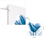 Empire Art Direct Frameless Free Floating Tempered Glass Panel Graphic Wall Art Ready to Hang, 24" x 24", Lusty Blue Tulip