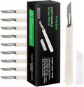 VIVOSUN #10 High-Carbon Steel Blades for Cutting Plants and Propagation