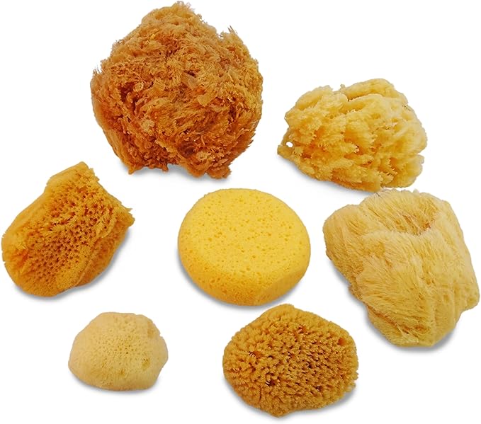 Natural Sea & Synthetic Sponges - Assorted Sizes 7pc Value Pack for Crafts & Artists: Great for Painting, Hobbies, Art, Effects, Ceramics, Clay, Pottery by Lullingworth®