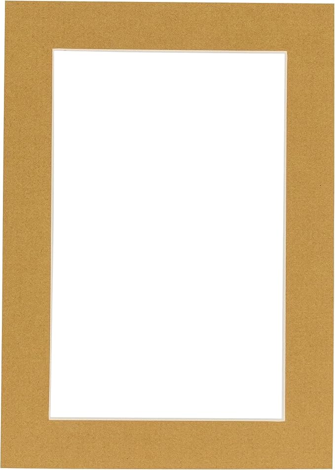 6x8 Mat for 8x10 Frame - Precut Mat Board Acid-Free Show Kit with Backing Board, and Clear Bags Rattan Beige 6x8 Photo Matte Made to Fit a 8x10 Picture Frame Matboard for Framing, Pack of 1 Mat