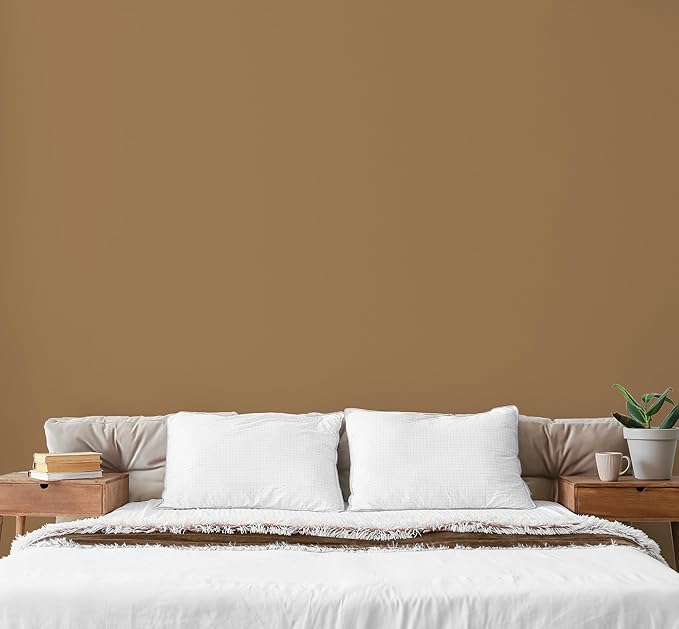 EVOLVE Paint & Primer: Environment-friendly, Low Sheen with One-coat Coverage for Interior & Exterior surfaces (Autumn Brown, 5-Gallon)
