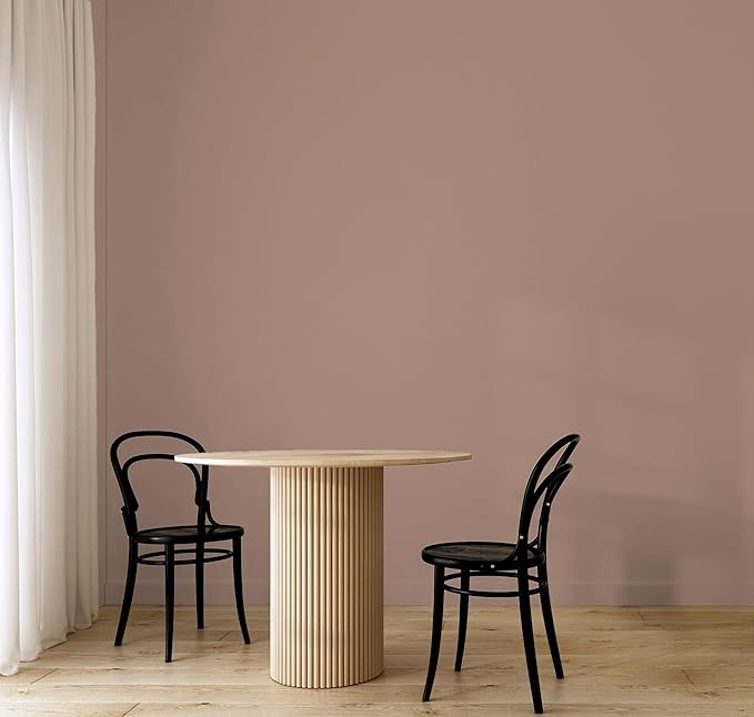 EVOLVE Paint & Primer: Environment-friendly, Low Sheen with One-coat Coverage for Interior & Exterior surfaces (Feather Brown, 1-Gallon)