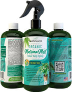 Organic Marina Mist Foliar Spray for Money Tree | Liquid Fertilizer | Micro Nutrients for Vital Health | Liquid Plant Food (16 OZ)