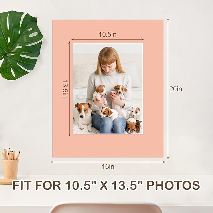 15 Pack 20x16 Picture Mats, Mixed Colors Frame Mattes for 11x14 Pictures Photo Frame Mat Core Bevel Cut Mat Board Show Kit for Photos, Prints, Artworks