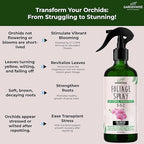 Premium Orchid Plant Food Mist – Orchid Fertilizer Spray – Orchid Food Fertilizer for Blooming – Orchid Plant Care Formula 3-1-2 – Ready-to-Use (16 OZ)