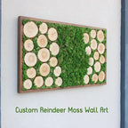 Preserved Reindeer Moss Natural Green DIY Kit Gardenning Art Wall Decor Florist Decor Easter Table Decor Wedding