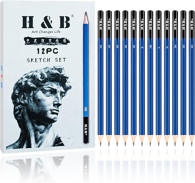 H & B 12 PCS Pencil Drawing Kit, H-4H, F, HB, B-6B Graphite and Charcoal Sketch Pencil Set for Beginners, Professional Artists