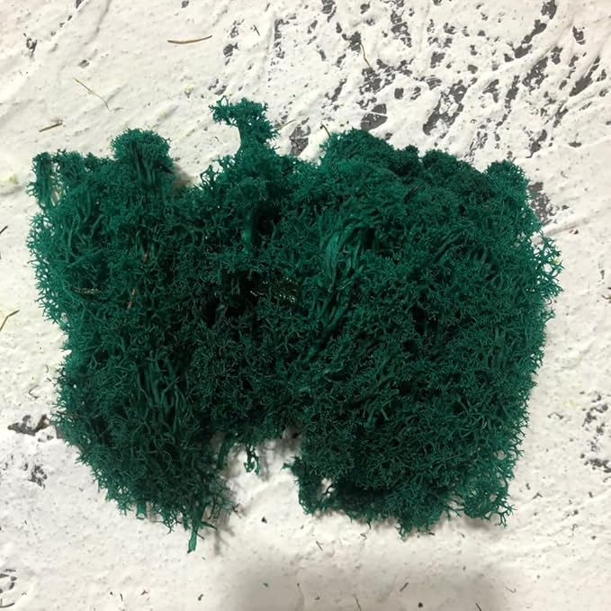 Preserved Reindeer Moss Natural Green DIY Kit Gardenning Art Wall Decor Florist Decor Easter Table Decor Wedding