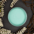 Dixie Belle Paint Company Chalk Finish Furniture Paint - The Gulf (32oz) - Matte Soft Turquoise Chic Chalk Mineral DIY Furniture Paint