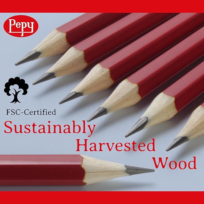 Pepy Graphite Professional Drawing Pencils - Set of 12 4H Pre-Sharpened Black Lead Pencils; Perfect for Drawing, Sketching and Shading, Graphic and Fine Art
