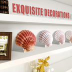 8 PCS 4-4.5 Inch Natural White Scallop Shells Sea Shells for DIY Craft Home Décor