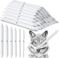 Fulmoon 288 Pcs Blending Stump and Tortillion Set Paper Art Blenders Blend Stumps for Drawing Shading Drawing Supplies Pencil Sketch Paint Tools for Student(Blending Stump,#1, #2, #3, #4, #5, #6)