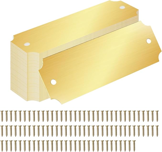 40 Pcs Name Plates Laser Engraved Solid Brushed Metal Plate with 100 pcs Screws Tag Frame Name Custom Name Personalized Plaque Blank Label with Screws and Adhesive Backing for DIY (1'' X 3'')