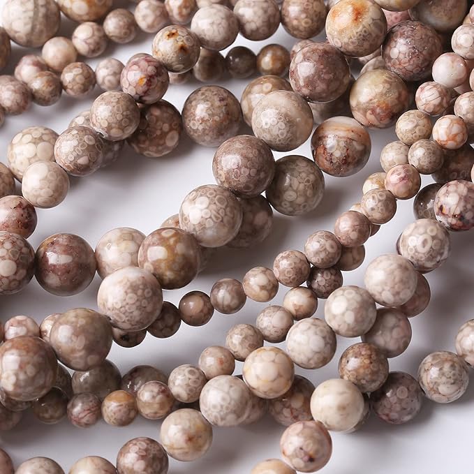 48PCS 8MM Natural Flowery Cowry Fossil Stone Beads Energy Healing Beads for DIY Jewelry Bracelet Necklace Making for Jewelry Making15Inch