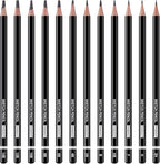 PANDAFLY Professional Drawing Sketching Pencil Set - 12 Pieces Graphite Pencils(14B - 2H), Ideal for Drawing Art, Sketching, Shading, Artist Pencils for Beginners & Pro Artists