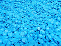 Freeman Injection Wax Magna Ject Blue Beads Jewelry Casting Wax KC2364 1 Pound