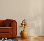 EVOLVE Paint & Primer: Environment-friendly, Low Sheen with One-coat Coverage for Interior & Exterior surfaces (Beach Beige, 1-Gallon)