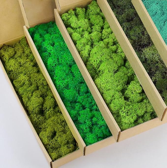Preserved Reindeer Moss Natural Green DIY Kit Gardenning Art Wall Decor Florist Decor Easter Table Decor Wedding